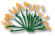 sage brush